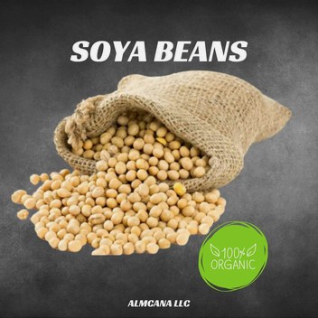 Soya Beans